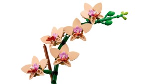 LEGO® Botanical Collection 10343 Miniorchidee