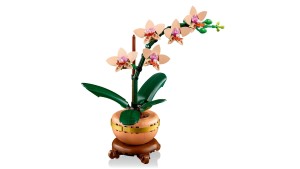 LEGO® Botanical Collection 10343 Miniorchidee